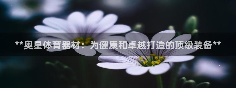 极悦平台是干什么的公司：**奥星体育器材：为健康和卓