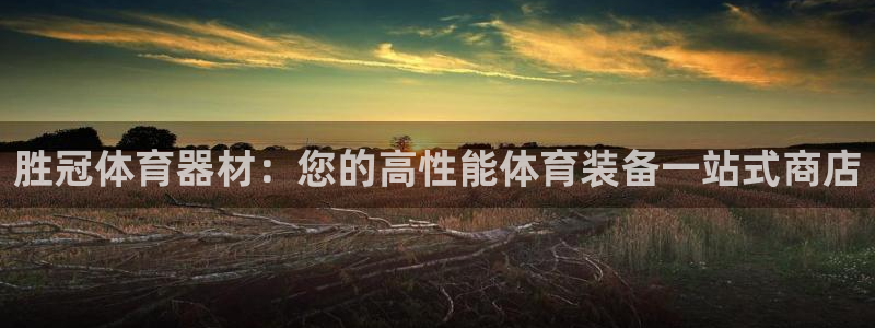 极悦注册：胜冠体育器材：您的高性能体育装备一站式商店