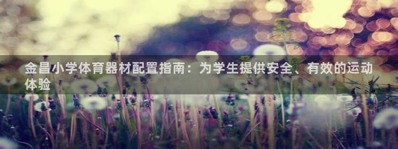极悦平台注册资金多少亿：金昌小学体育器材配置指南：为