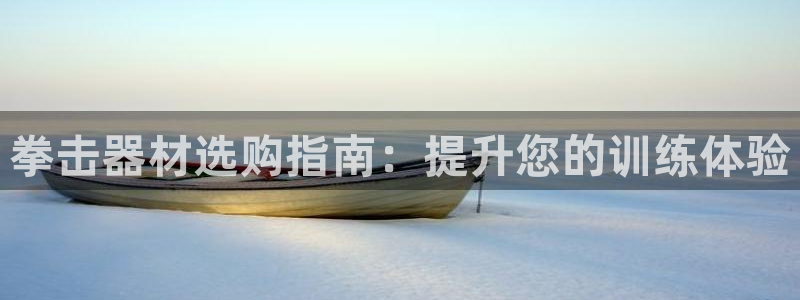 极悦娱乐官网入口：拳击器材选购指南：提升您的训练体验