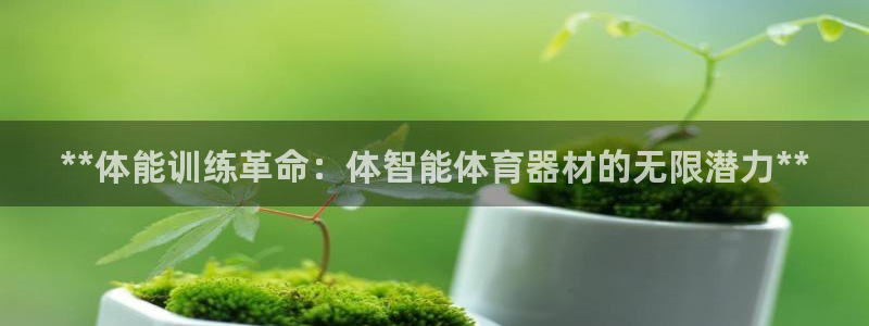 极悦娱乐负责人：**体能训练革命：体智能体育器材的无限潜力*