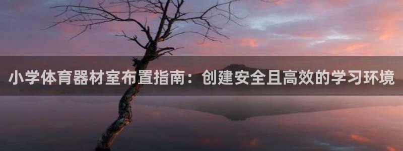 极悦平台德711.112的更新内容：小学体育器材室布
