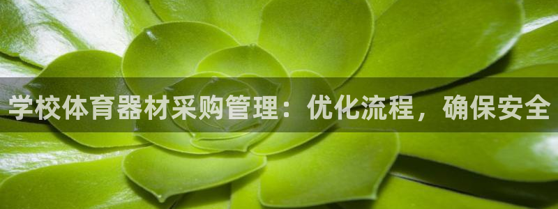 极悦平台是什么公司：学校体育器材采购管理：优化流程，