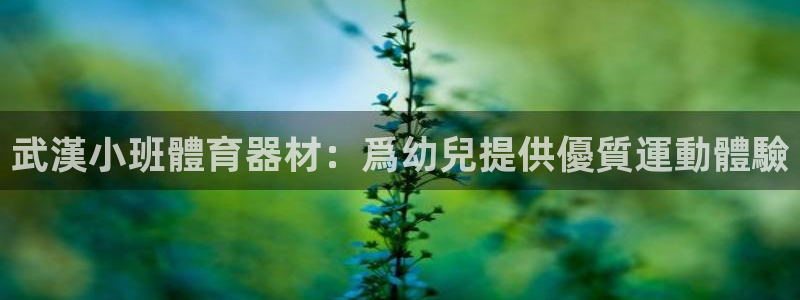 极悦注册：武漢小班體育器材：爲幼兒提供優質運動體驗