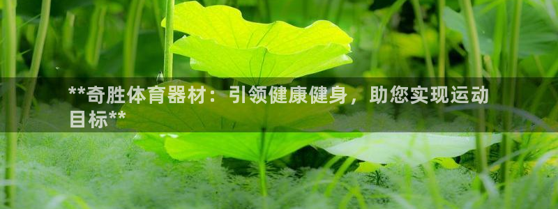 极悦平台登录方式有哪些：**奇胜体育器材：引领健康健