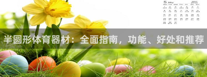 极悦娱乐负责人怎么样：半圆形体育器材：全面指南，功能