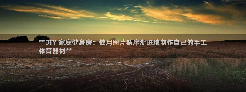 极悦娱乐贴吧百度：**DIY 家庭健身房：使用图片循