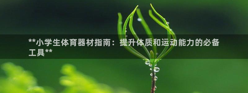 极悦平台代理怎么样可靠吗：**小学生体育器材指南：提