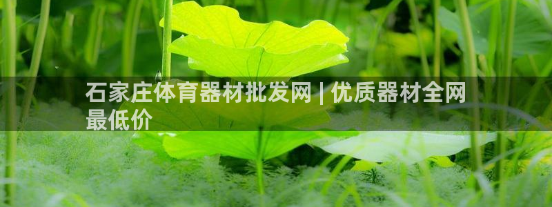 极悦官网登录入口网址：石家庄体育器材批发网 | 优质