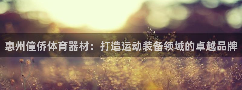 极悦娱乐贴吧官网：惠州僮侨体育器材：打造运动装备领域