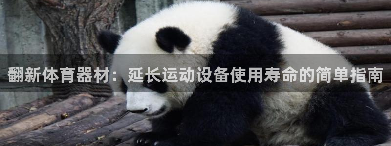 极悦娱乐的最新版本更新内容：翻新体育器材：延长运动设