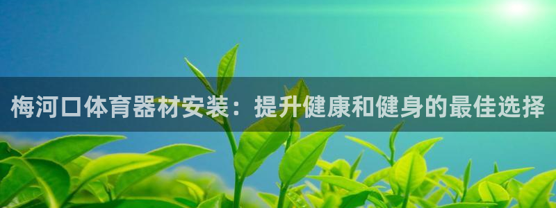 极悦平台的注册流程及注意事项有哪些：梅河口体育器材安