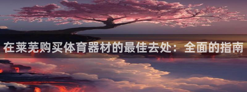 极悦娱乐的内部员工福利：在莱芜购买体育器材的最佳去处