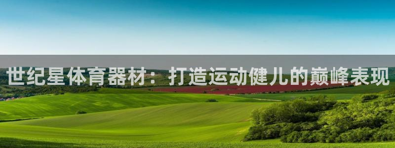极悦平台代理怎么样：世纪星体育器材：打造运动健儿的巅