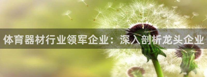 极悦官网首页登录入口网址：体育器材行业领军企业：深入