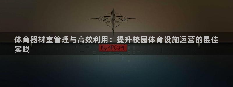 极悦平台使用注意事项是什么：体育器材室管理与高效利用
