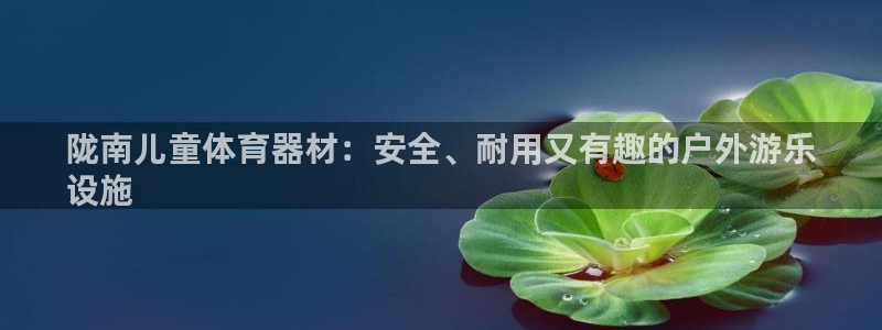 极悦平台官方网站入口网址：陇南儿童体育器材：安全、耐