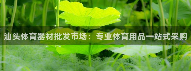极悦娱乐登录拒绝访问怎么办：汕头体育器材批发市场：专