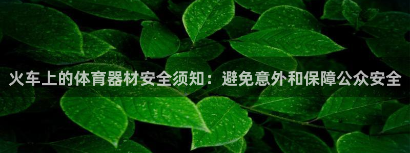 极悦官网入口登录网址：火车上的体育器材安全须知：避免
