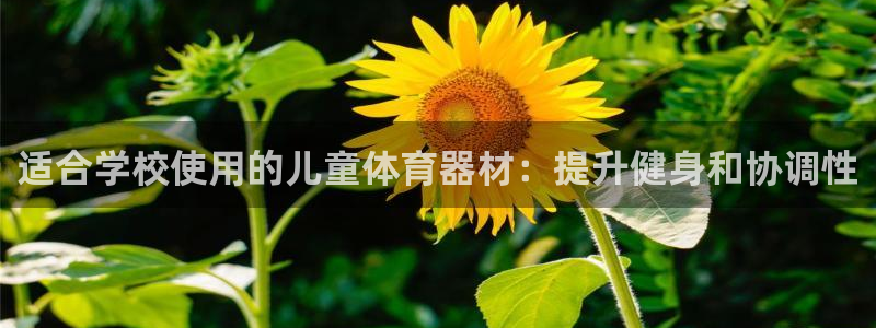 极悦娱乐官网最新版本更新内容：适合学校使用的儿童体育