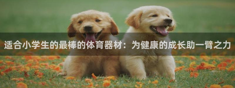 极悦娱乐百科百度：适合小学生的最棒的体育器材：为健康
