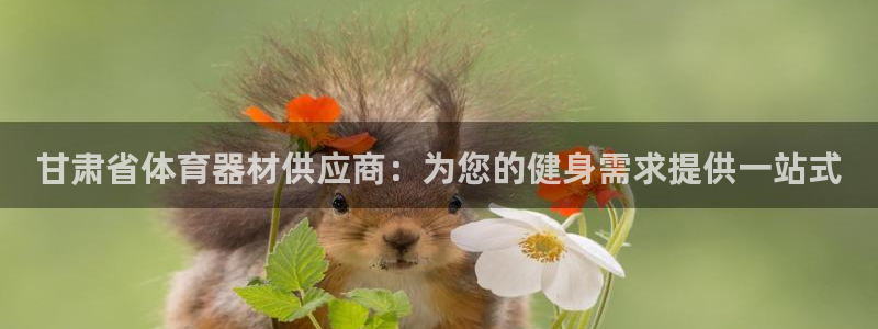 极悦娱乐官网APP下载：甘肃省体育器材供应商：为您的