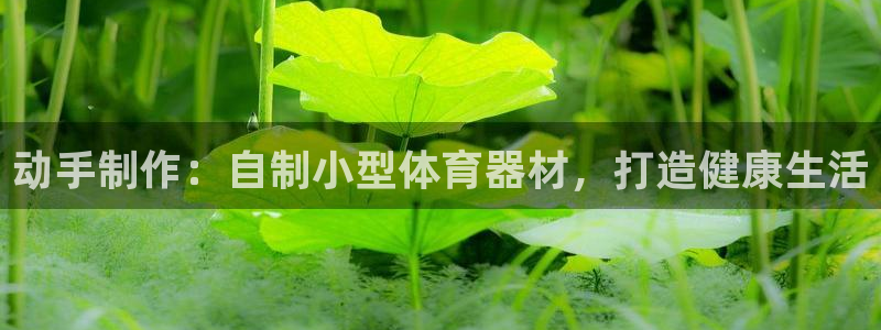 极悦平台是什么平台的：动手制作：自制小型体育器材，打造健康生