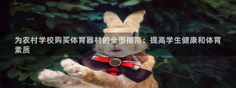 极悦官网首页登录入口：为农村学校购买体育器材的全面指