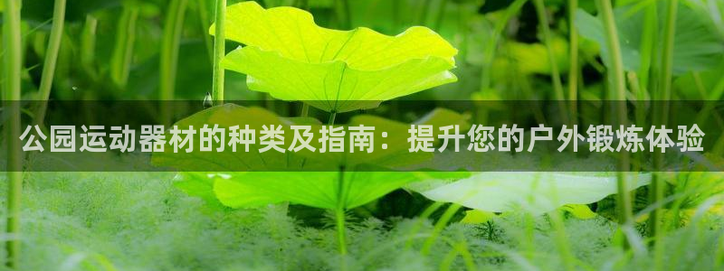 极悦平台登录最新版本更新内容是什么：公园运动器材的种