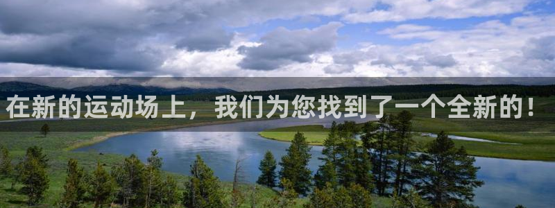 极悦平台用户反馈和反馈一样吗
