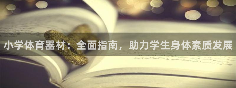 极悦平台注册登录入口在哪：小学体育器材：全面指南，助力学生身