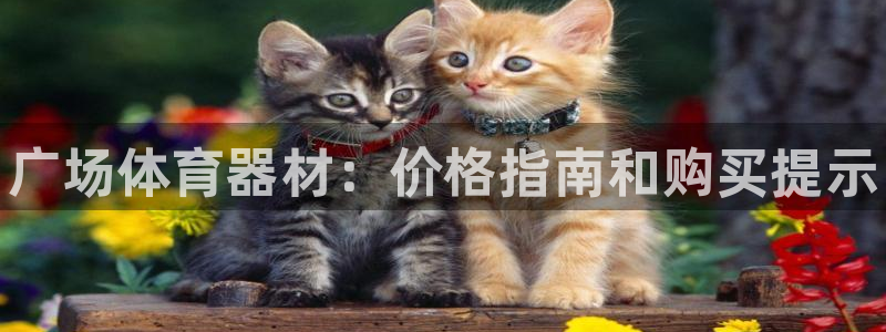 极悦平台客服团队名称：广场体育器材：价格指南和购买提