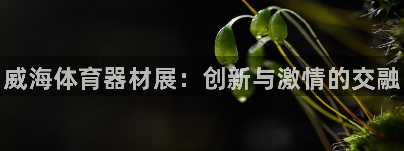 极悦平台创始人背景故事是什么