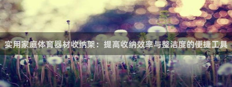 极悦平台用户评价：实用家庭体育器材收纳架：提高收纳效率与整洁