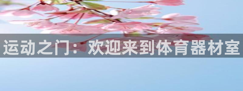 极悦平台注册资金多少亿：运动之门：欢迎来到体育器材室