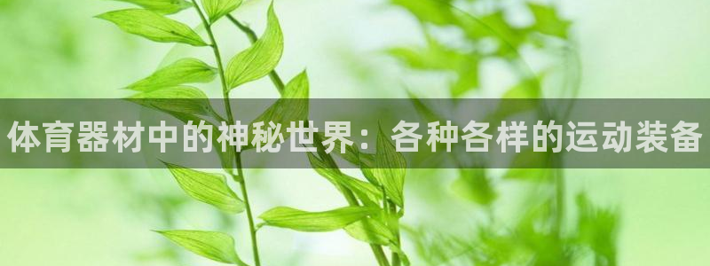 极悦平台和蓝狮平台区别大吗：体育器材中的神秘世界：各