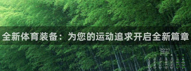 极悦平台注册用户名验证失败：全新体育装备：为您的运动