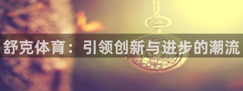 极悦平台官方网站