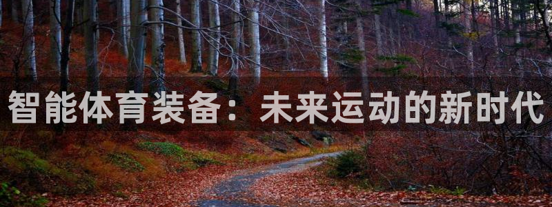 极悦平台是正规平台吗是真的吗：智能体育装备：未来运动的新时代
