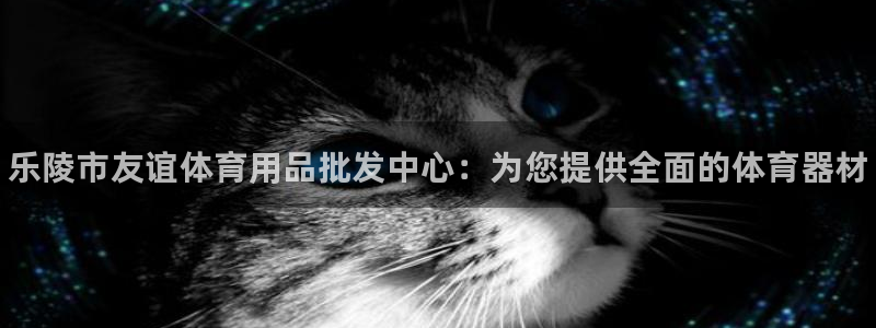 极悦平台注册和登录页面不一样：乐陵市友谊体育用品批发中心：为