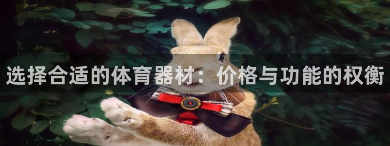 极悦平台官网登录不了怎么回事：选择合适的体育器材：价格与功能