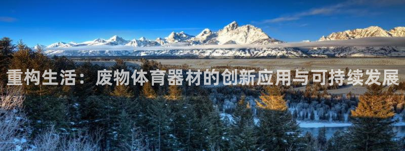 极悦平台登录方式怎么改：重构生活：废物体育器材的创新应用与可