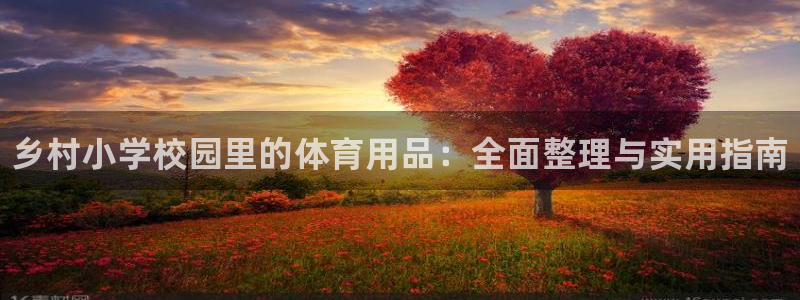 极悦平台安全吗：乡村小学校园里的体育用品：全面整理与