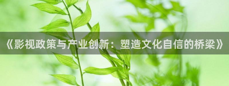 三妹影院免费观看：《影视政策与产业创新：塑造文化自信的桥梁》