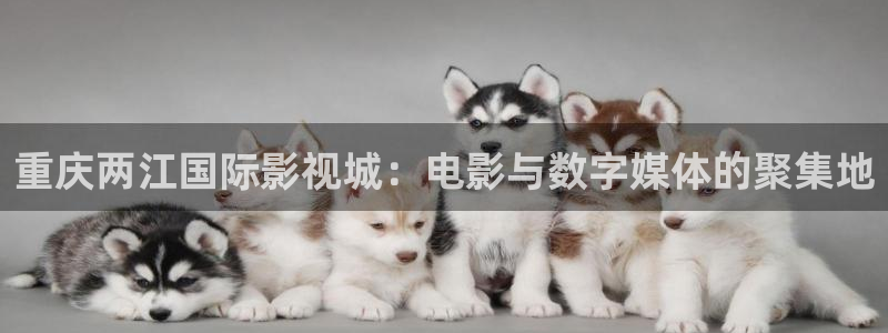 三妹影院在线观看：重庆两江国际影视城：电影与数字媒体的聚集地