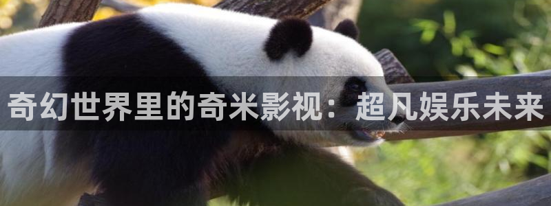 三妹影院在线观看：奇幻世界里的奇米影视：超凡娱乐未来