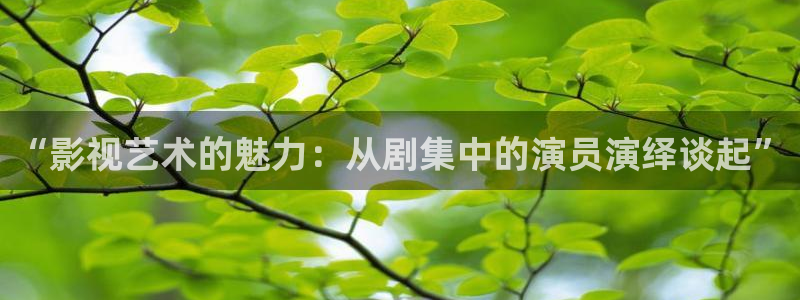 三妹影院：“影视艺术的魅力：从剧集中的演员演绎谈起”